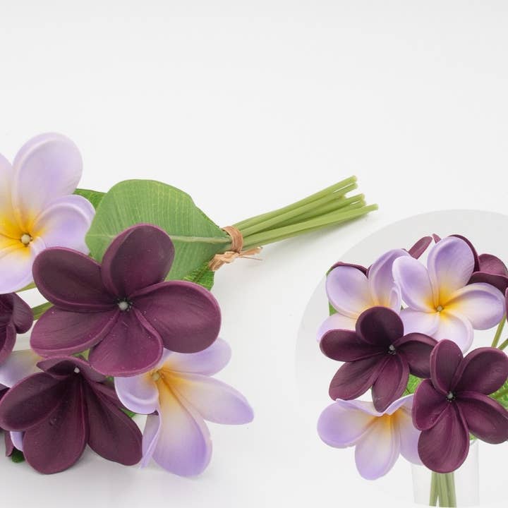 Angel Isabella - Wholesale Artificial flowers - 10Stems Bundle-Ultra Realistic Tropical Plumeria Frangipani9