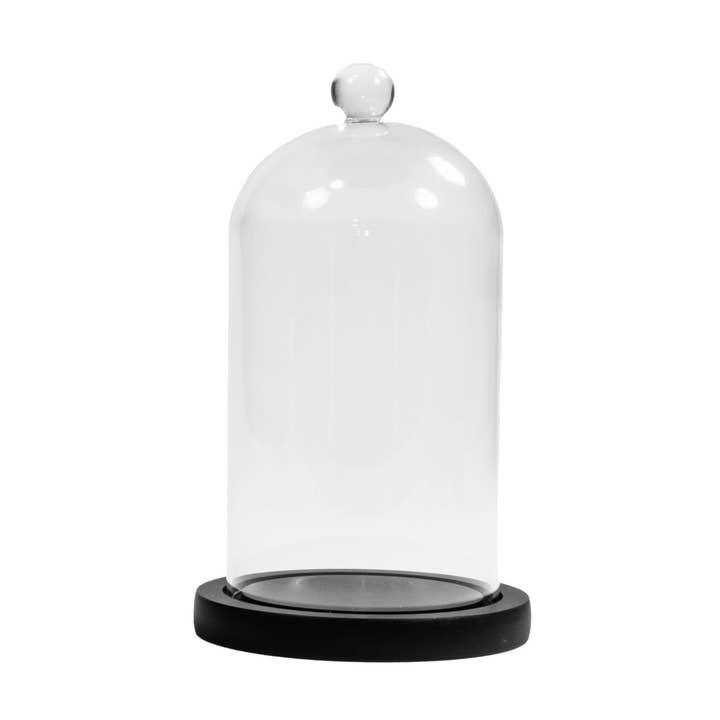 ENVIRONMENT - Wholesale Decorative Tabletop Object - Clear Glass Cloches with Black Wood Case0