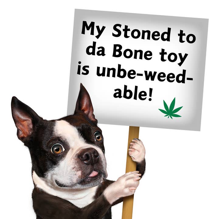 PAW:20 - Wholesale Pet Squeaky Toy - Dog - Stoned to da Bone, Cute Stuffed Rasta Leaf Bone Dog Toy7