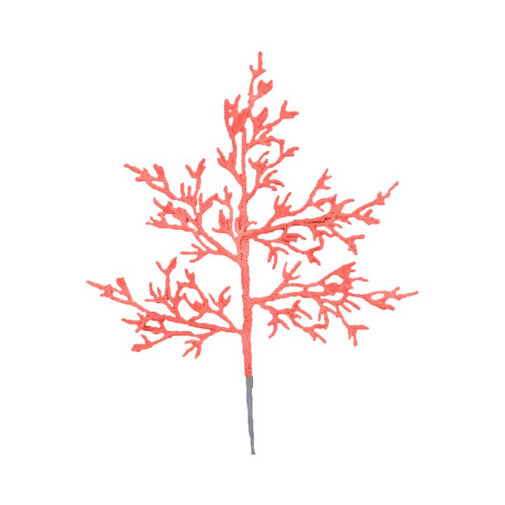 December Diamonds - Wholesale Christmas Decoration - Coral Pick