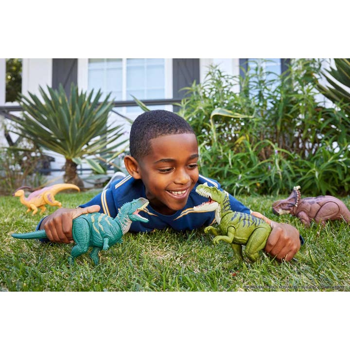 Variety Distributors - Wholesale Figurine Toy - Kids - Jurassic World Wild Roar Dinosaur Action Figures (Assorted)2