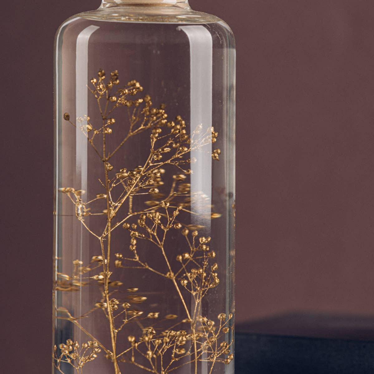 Theophile Berthon - Vente Plante - L'Herbarium Gypsophile Or - plante immergée2