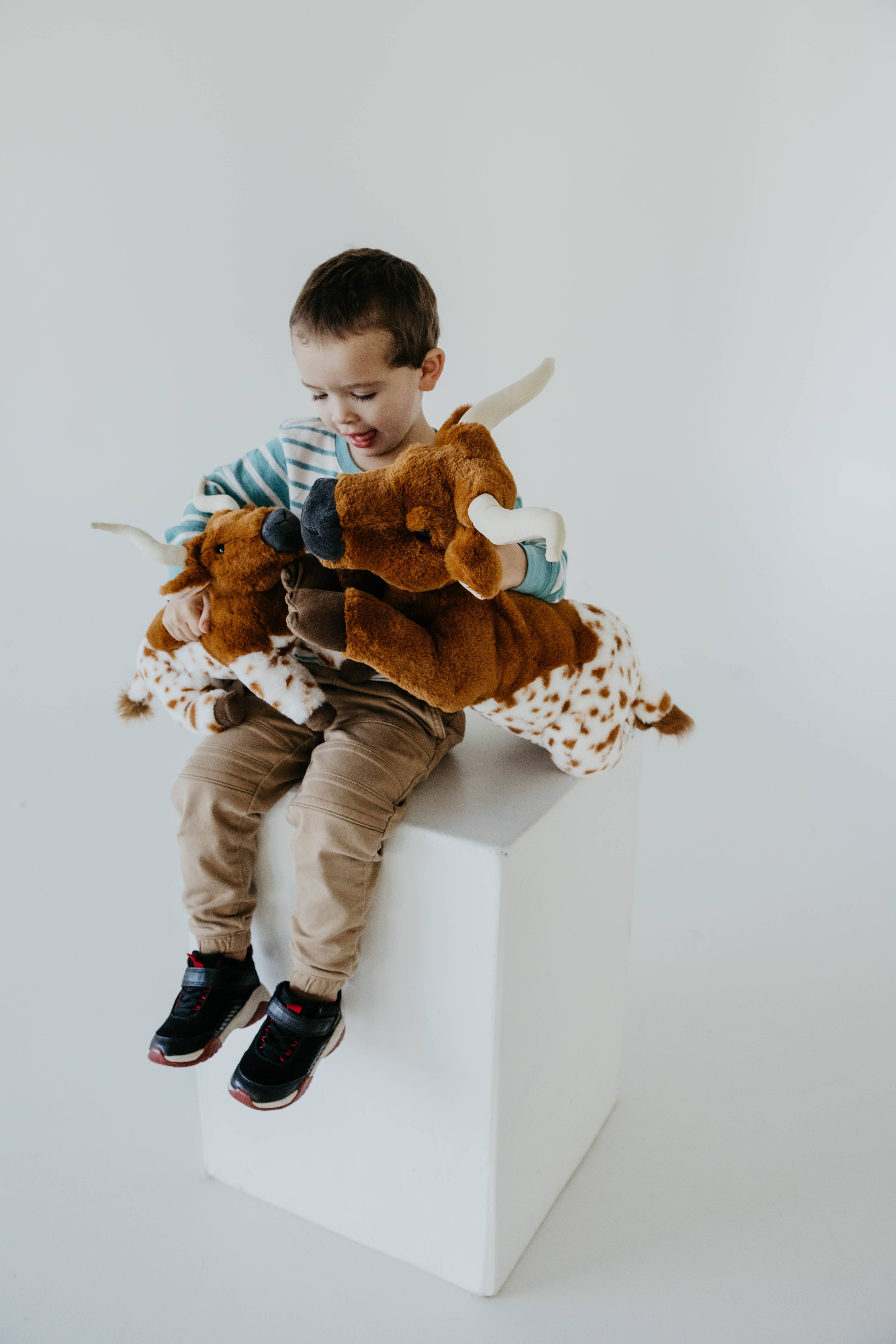 The Petting Zoo - Wholesale Stuffed/Plush Toy - Kids & Baby - 12" (30cm) Wild Onez Longhorn Cow6