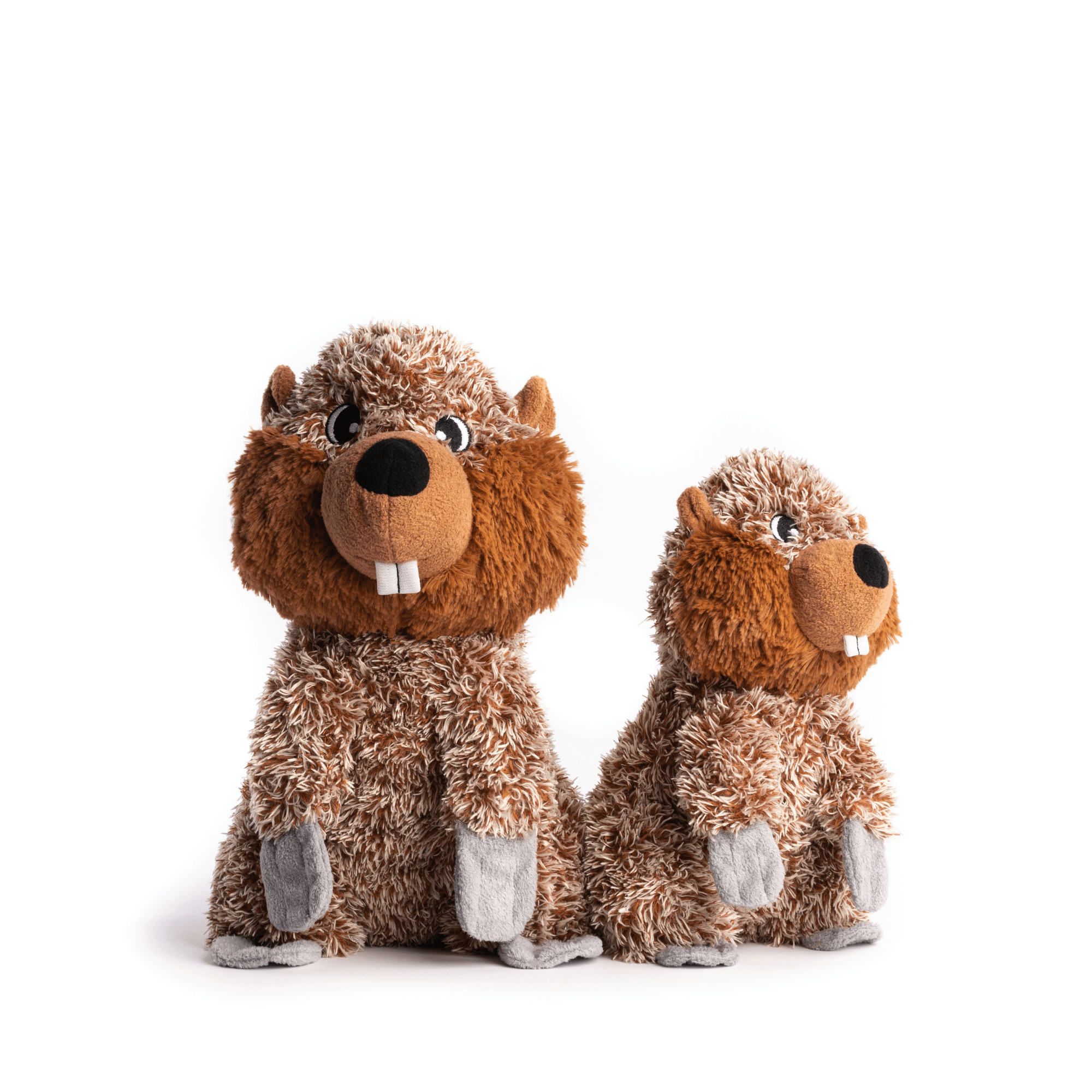 fabdog - Vente Peluche – chien - Castor moelleux1
