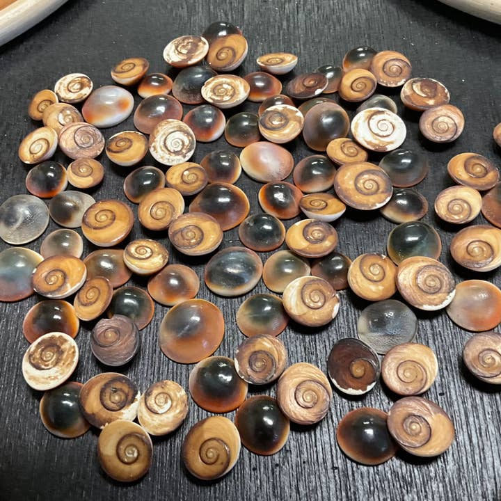 Cat Eyes Dark - B05 D for wholesale by Spice Islands Coastal