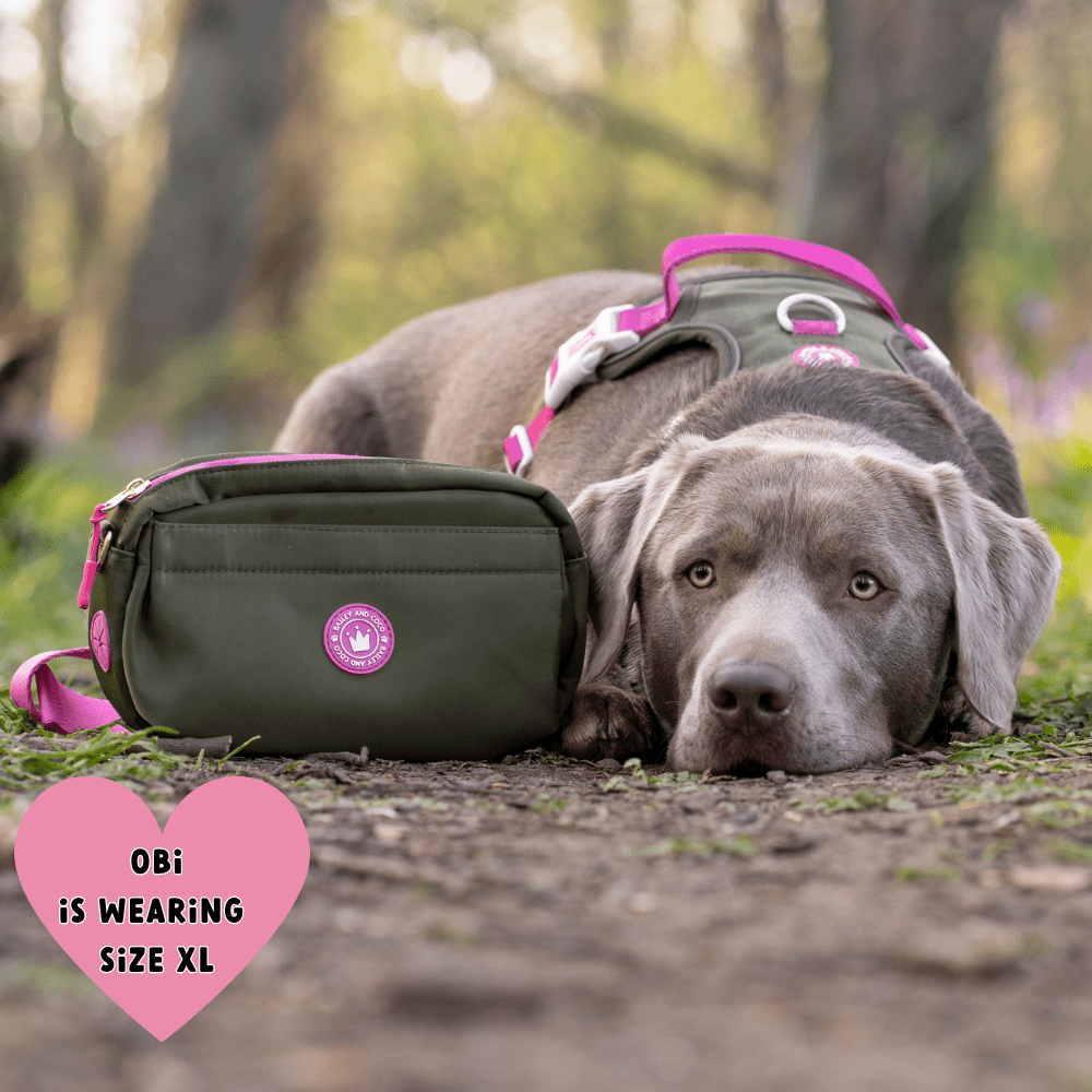 Bailey and Coco - Wholesale Belt Bag - Women's - Magnetic Snap Dog Walking Bum Bag - Olive it Hot13