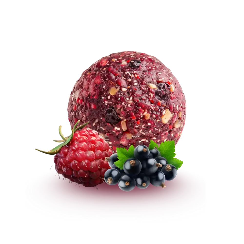 NÜTTREE – wholesale Snacksbar – Påse med 20 ekologiska energibollar med smak av hallon och svarta vinbär1