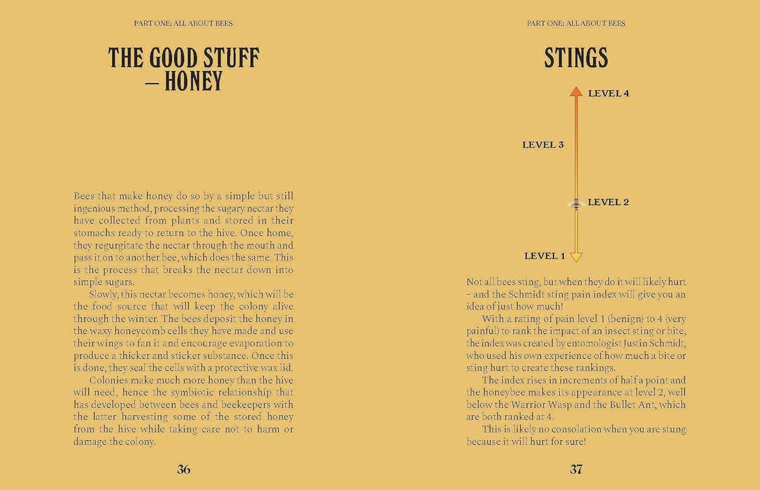 Chronicle Books - Wholesale Nature & Outdoors - Bees2