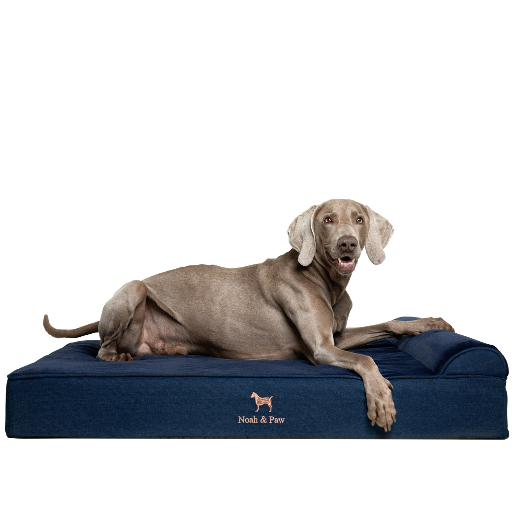 NOAH AND PAW LLC – wholesale Pet bed – Cat/dog – Denim Orthopedic Pet Bed, Memory Foam, Infused with Cooling Gel - Classic9