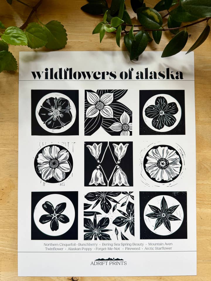 Wildflowers of Alaska • poster print for wholesale by Adrift Prints