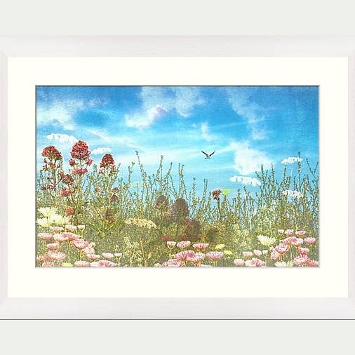 Coastal Flowers - Stampa montata per la vendita all'ingrosso da parte di Pip Carlton-Barnes - The Old Forge Studio