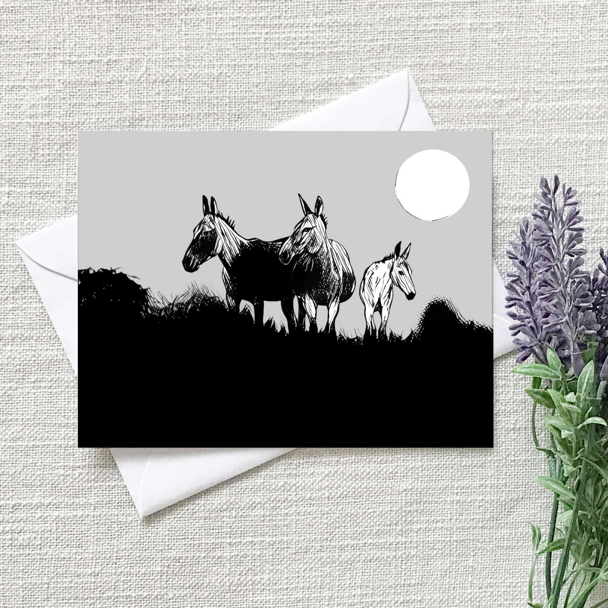 Laughing Mule Press - Wholesale Everyday Greeting Card - "Wild Desert Equines" Mule Notecard1