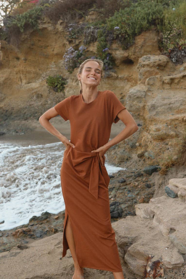 ISD1295 Anastasia Dress Mocha for wholesale on Faire3