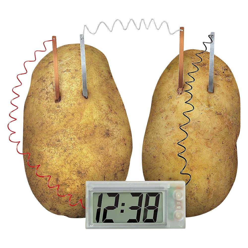 The Toy Network - Wholesale DIY Craft Kit - Kids - Green Science/Potato Clock2