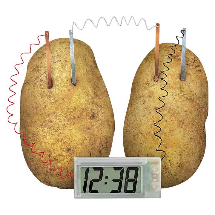 The Toy Network - Wholesale DIY Craft Kit - Kids - Green Science/Potato Clock2