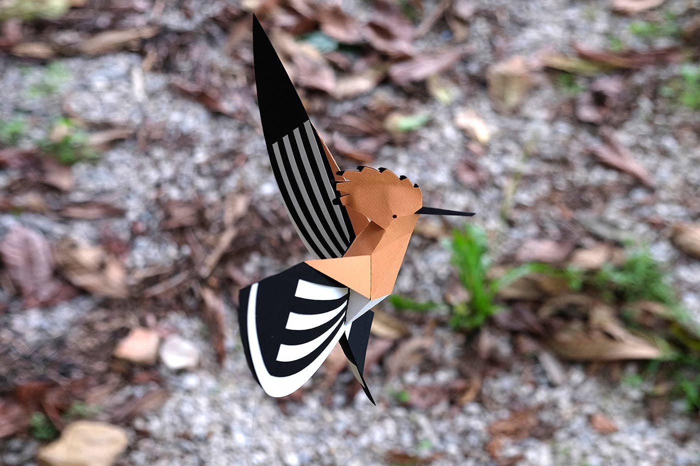 Today is Art Day - Wholesale Doe-het-zelf-knutselset - Hoopoe - 3D-papieren vogelfiguur van Pego9