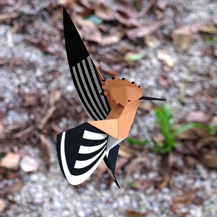 Today is Art Day - Wholesale Doe-het-zelf-knutselset - Hoopoe - 3D-papieren vogelfiguur van Pego9