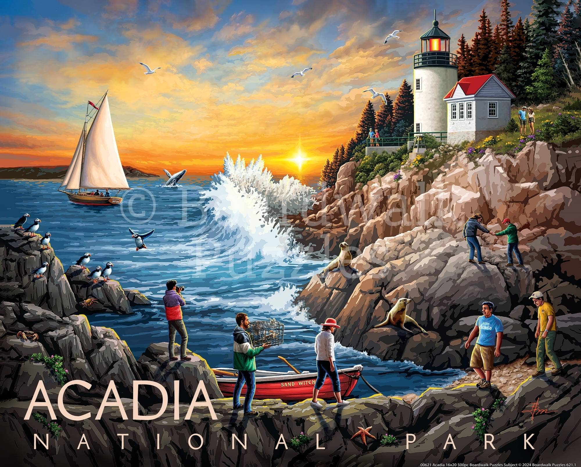 Boardwalk Puzzle Company - Wholesale Puzzle - Adult - Acadia National Park - 500 Piece1