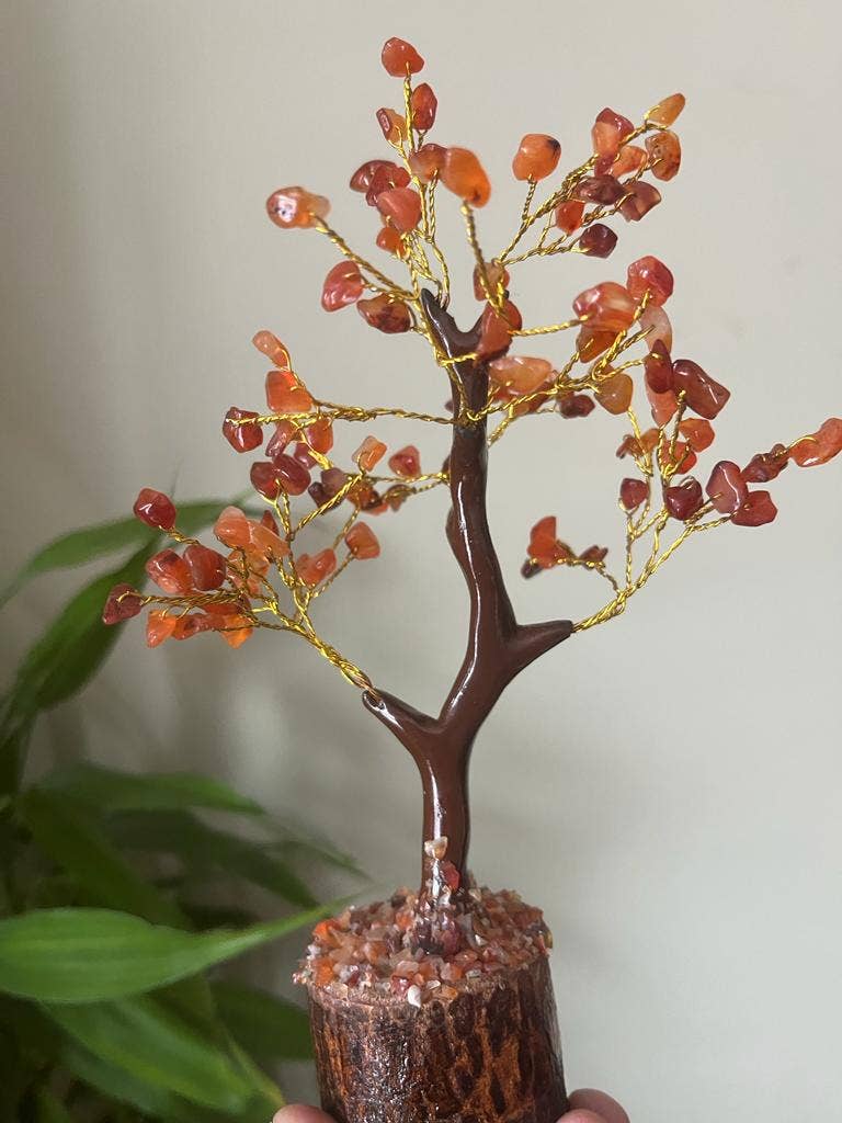 jiomind - Wholesale Spiritual Stone/Crystal - Red Carnelian Crystal Tree (100 chips)7