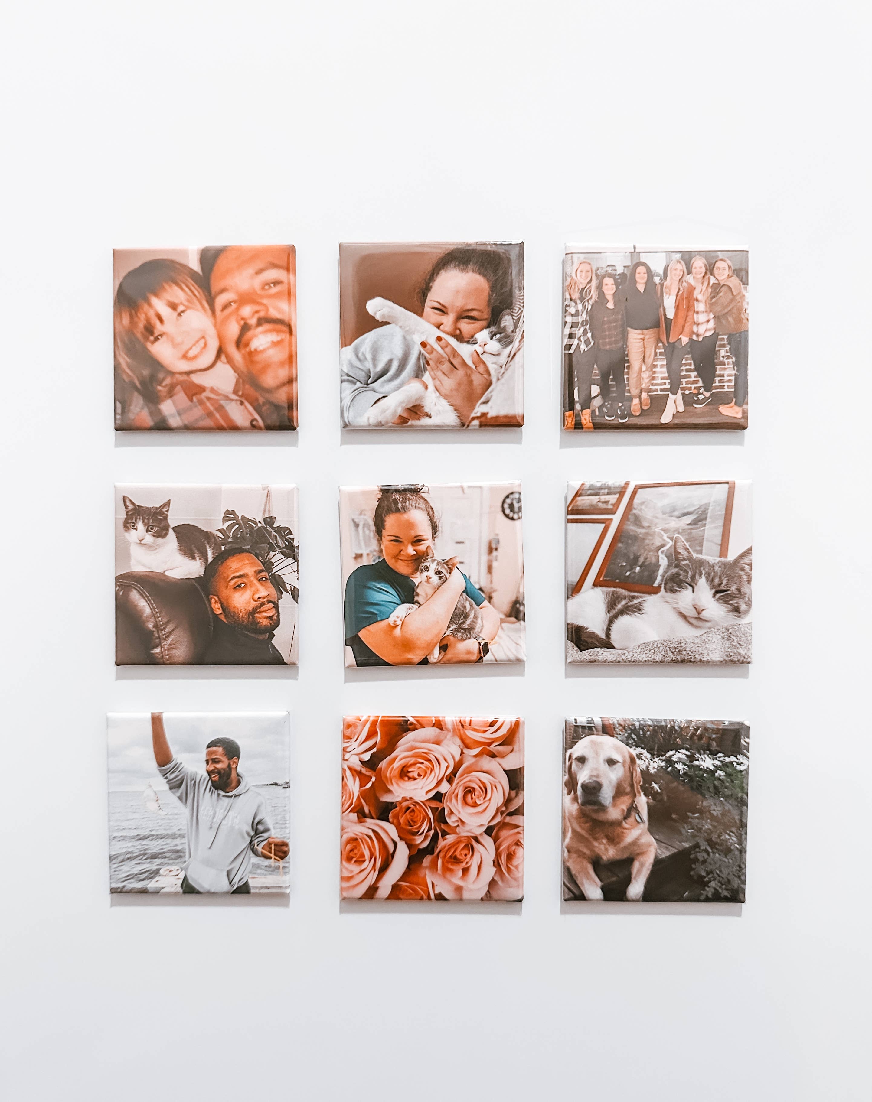 Powered By Daisies - Wholesale Magnet - Custom Photo Magnet3