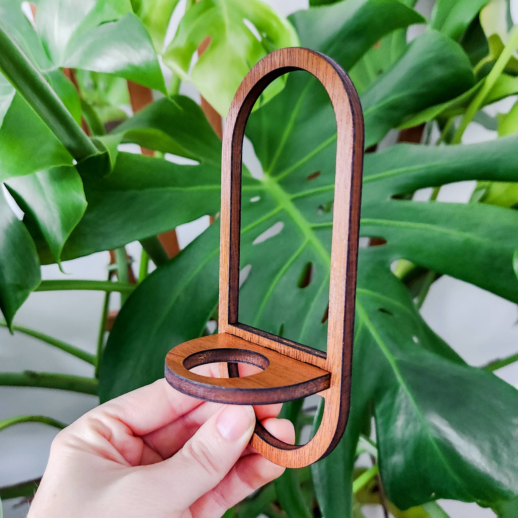 Leaf & Node - Wholesale Hanging Planter - Wall Hanging Propagation Station - Oval Test Tube Holder5