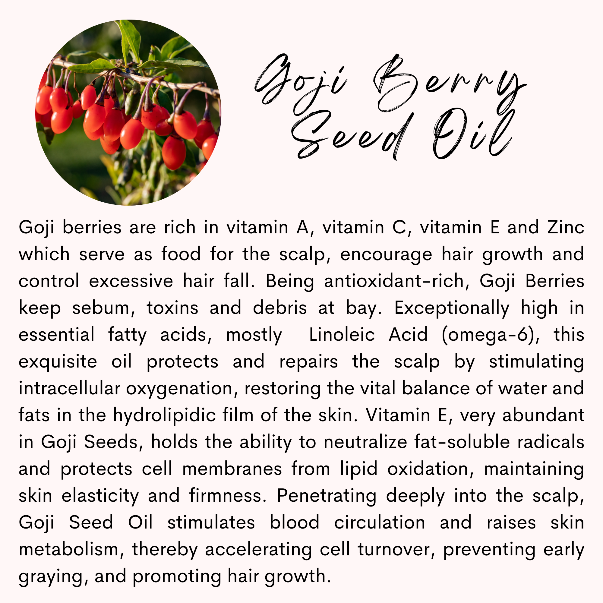 The Sacred Essence – wholesale Hårolja – HÖGRE VISDOM - 16 Kraftfull hårväxt och stärkande oljor7