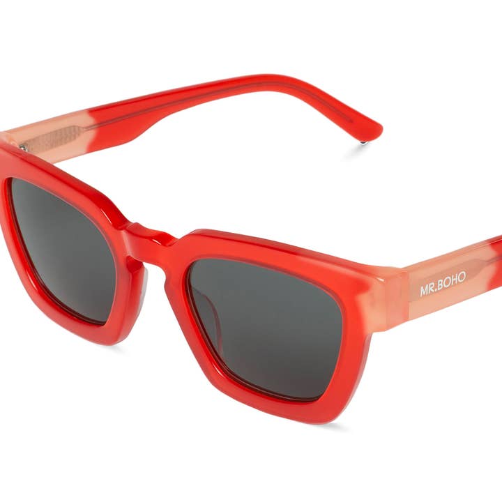 LITCHI - LONGAN for engroshandel hos MR. BOHO