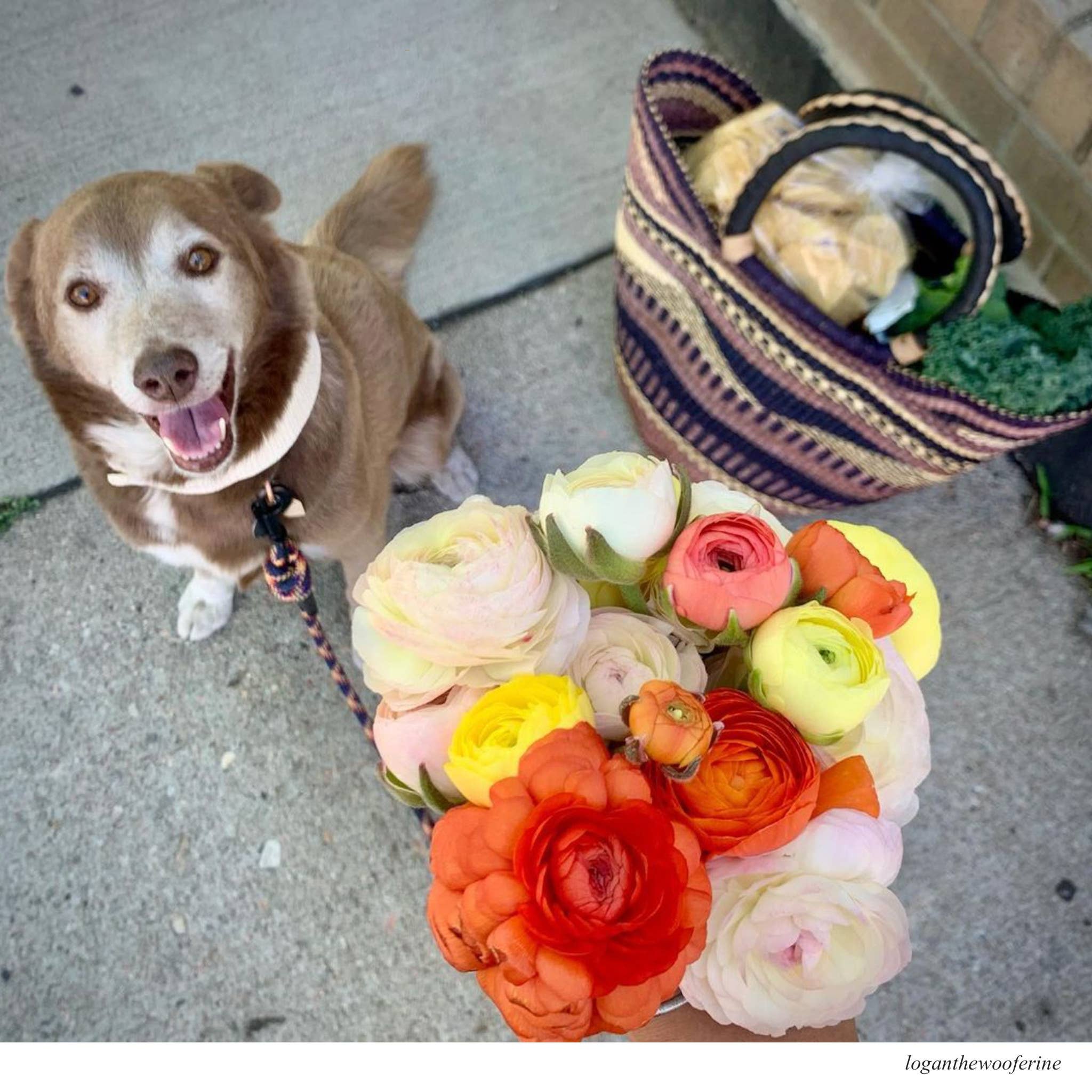 Ti-a Woven Goods - Vente Sacs de course/à provisions - Panier Shopper31