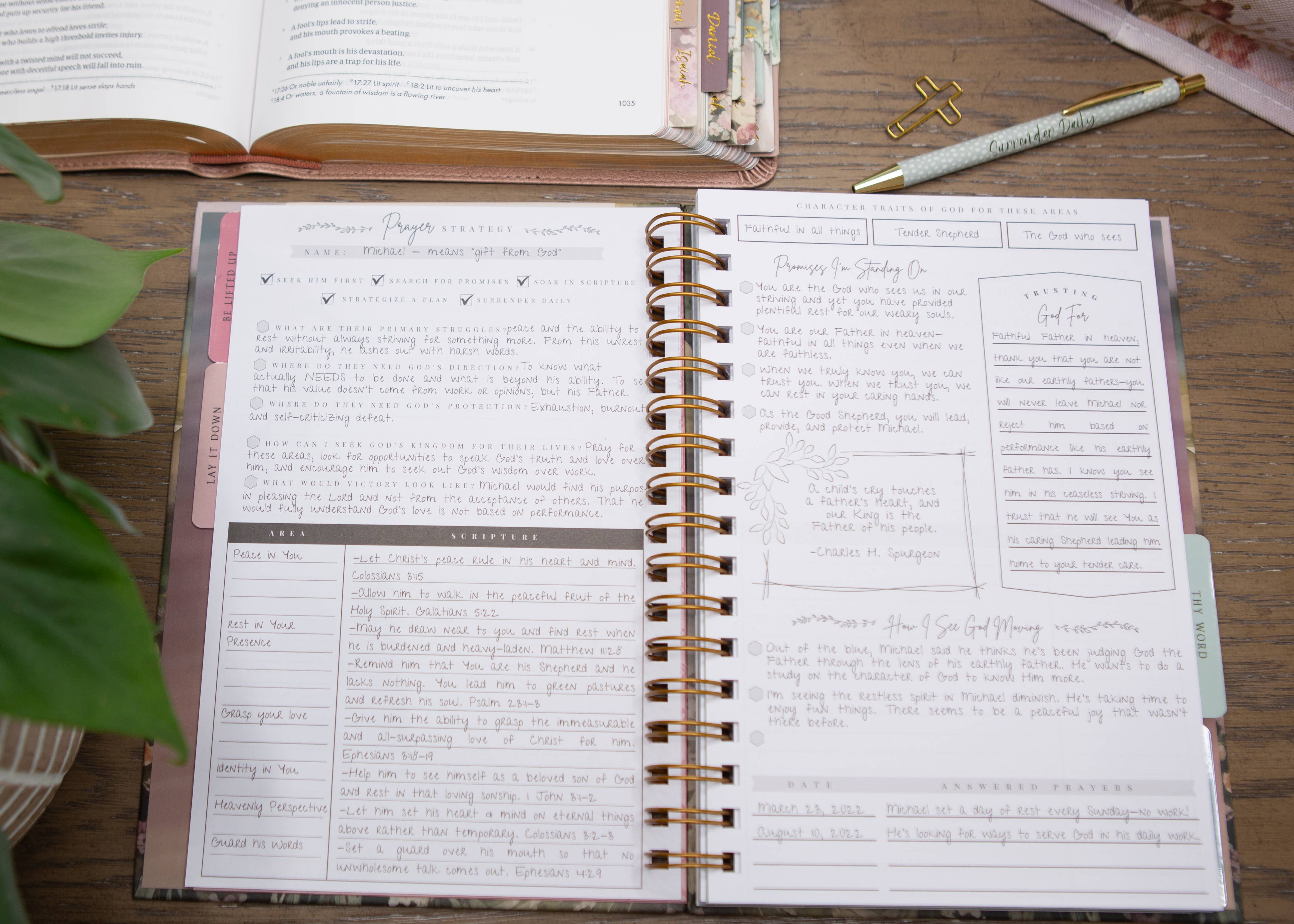 Chosen & Cherished - Wholesale Journal/Diary - New Mercies Prayer Journal for Women9