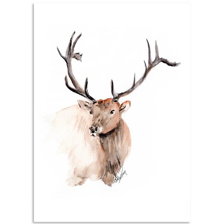 Alce para venta al por mayor de Moonlight & Grace