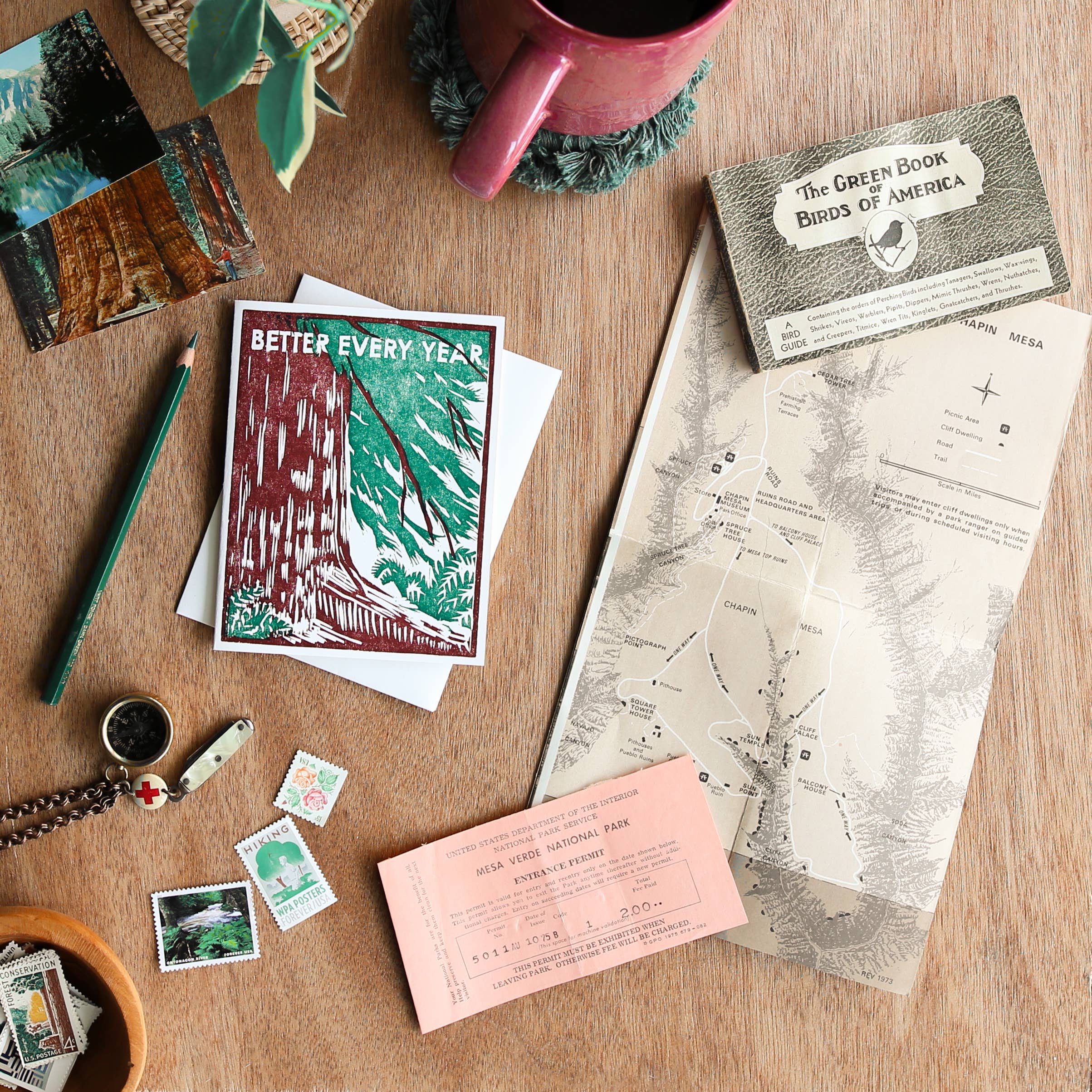 Heartell Press - Wholesale Birthday Card - Redwood Tree Better Every Year Birthday Card1