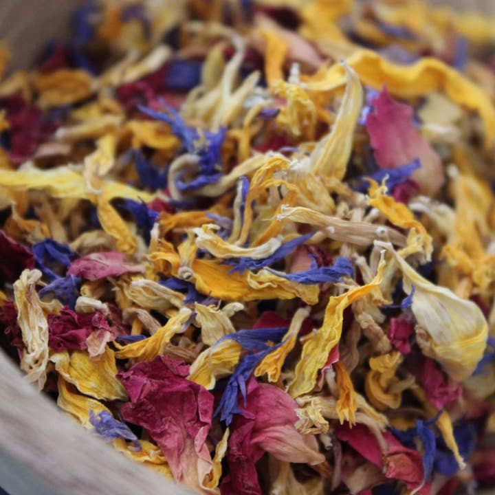 Aurore – Edible flowers for wholesale by Les Epices Curieuses