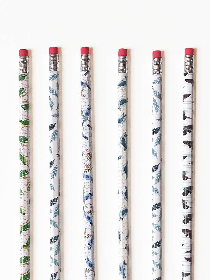 Ensemble de 6 crayons sur le thème des oiseaux — Charming Stationery pour la vente par Artistry Cards