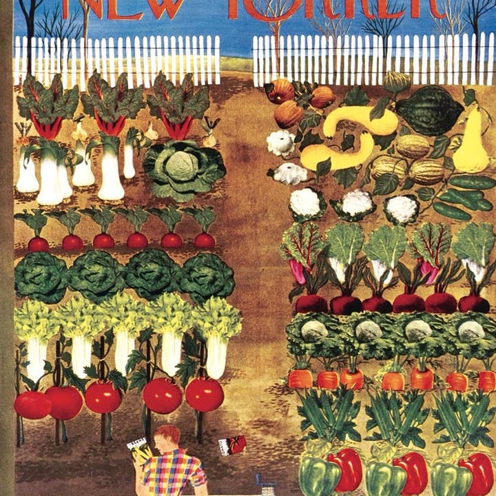 New York Puzzle Company - Wholesale Puzzle - Adult - Vegetable Garden - 1000 Piece Jigsaw Puzzle2