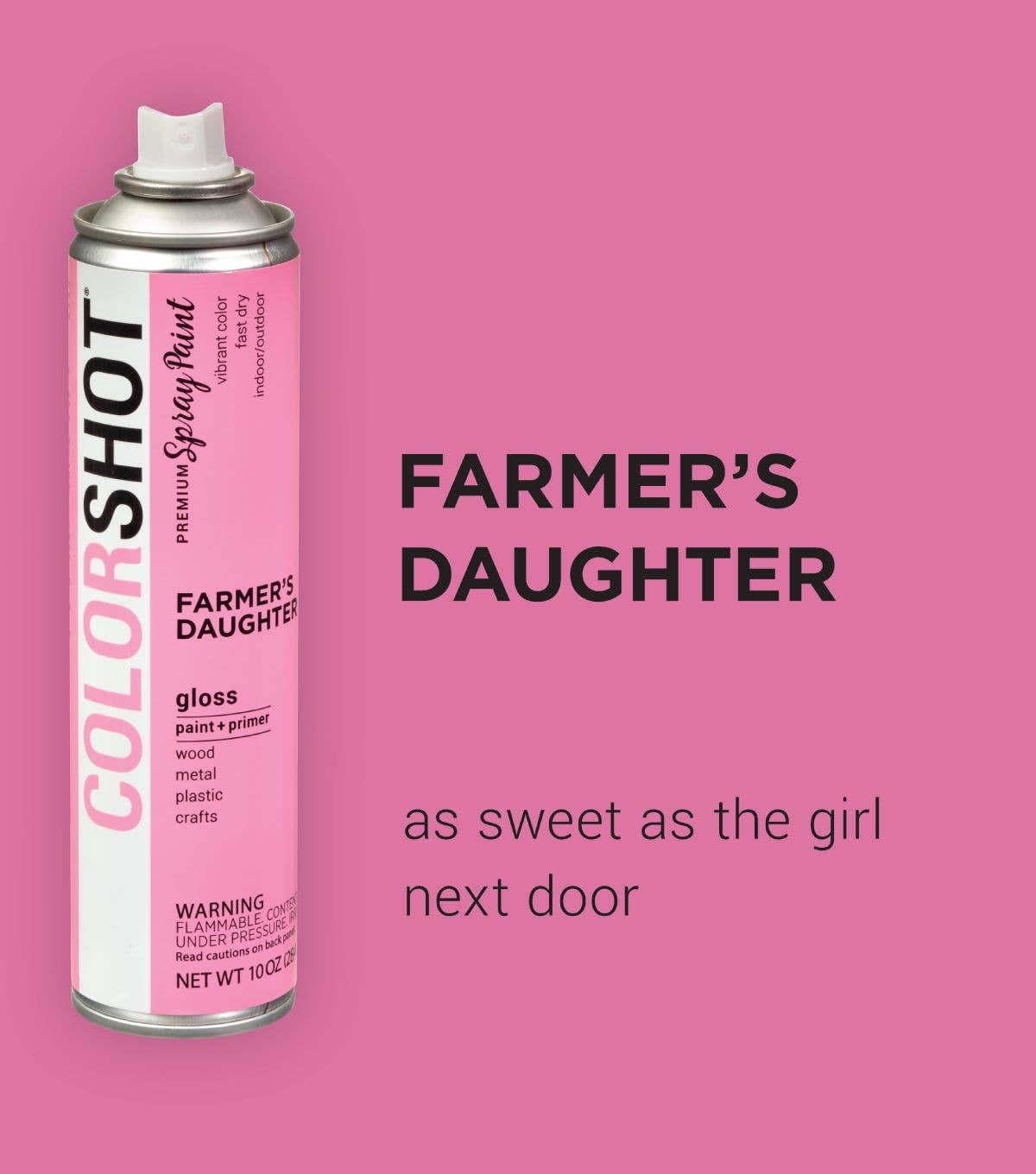 Ilovetocreate - Wholesale Paint Set - COLORSHOT Gloss Spray Paint Farmers Daughter (Pink) 10 oz.1