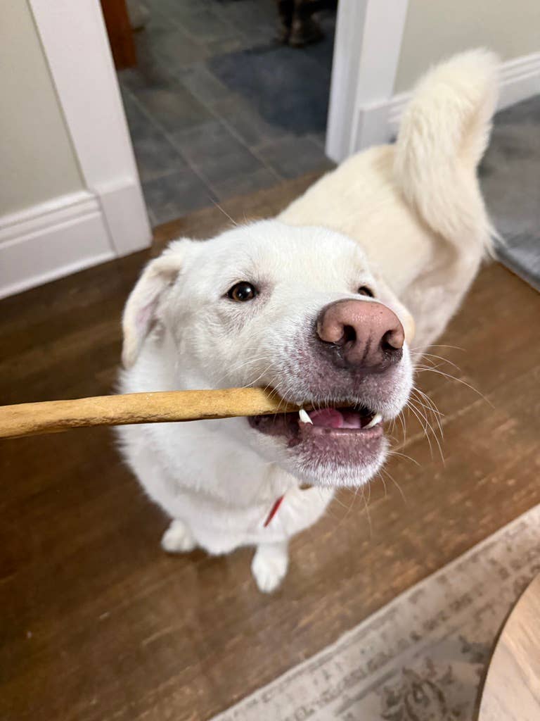 Purely Paws - Vente Friandises – chien - Friandises à mâcher pour chiens en collagène de bœuf naturel10