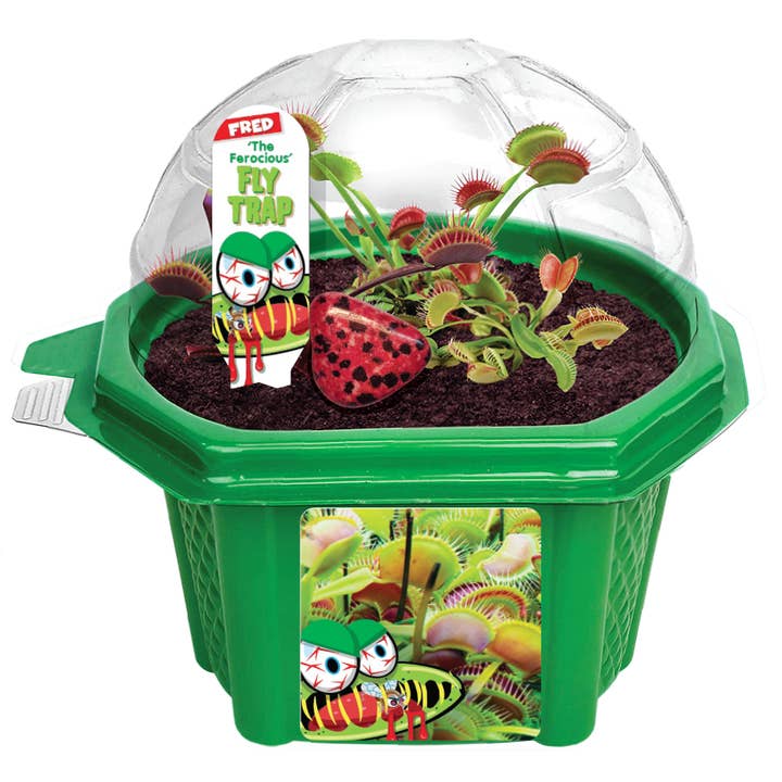 Silver Circle Products - Wholesale DIY Craft Kit - Kids - Fred The Ferocious Flytrap Micro Terrarium
4