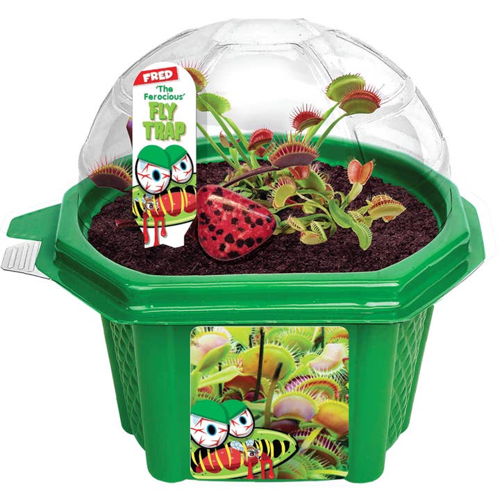 Silver Circle Products - Wholesale DIY Craft Kit - Kids - Fred The Ferocious Flytrap Micro Terrarium