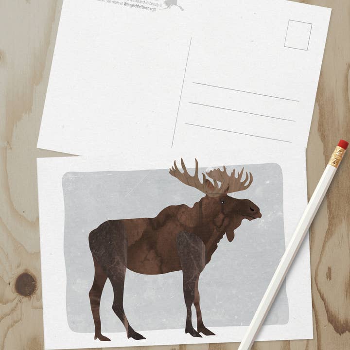 Wren and the Raven - Wholesale Postcard - Alaska Wildlife Series Postcards