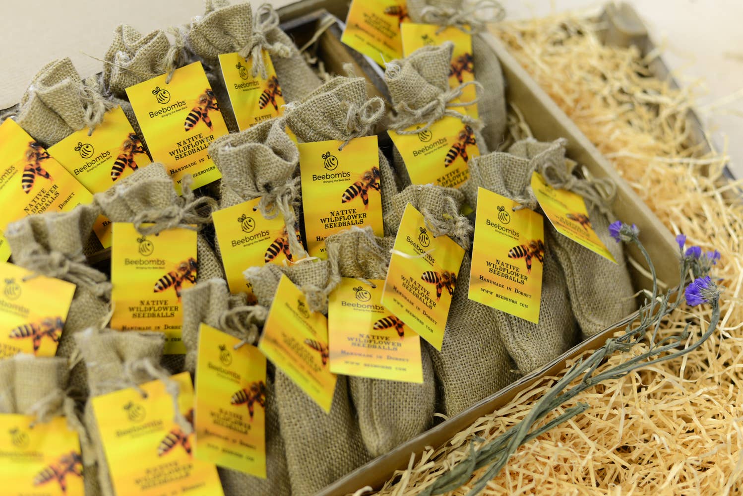 Beebombs - Wholesale Plant Seeds - Wildflower Beebombs 20-49 units2