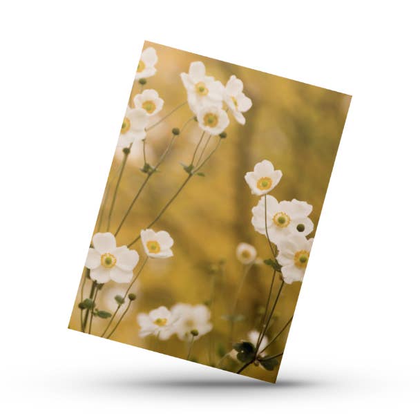 Fiori No5 (Mini biglietto) per la vendita all'ingrosso da parte di Kortspecialisten