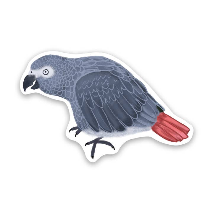 Autocollant en vinyle perroquet gris africain pour la vente par Proper Wolf