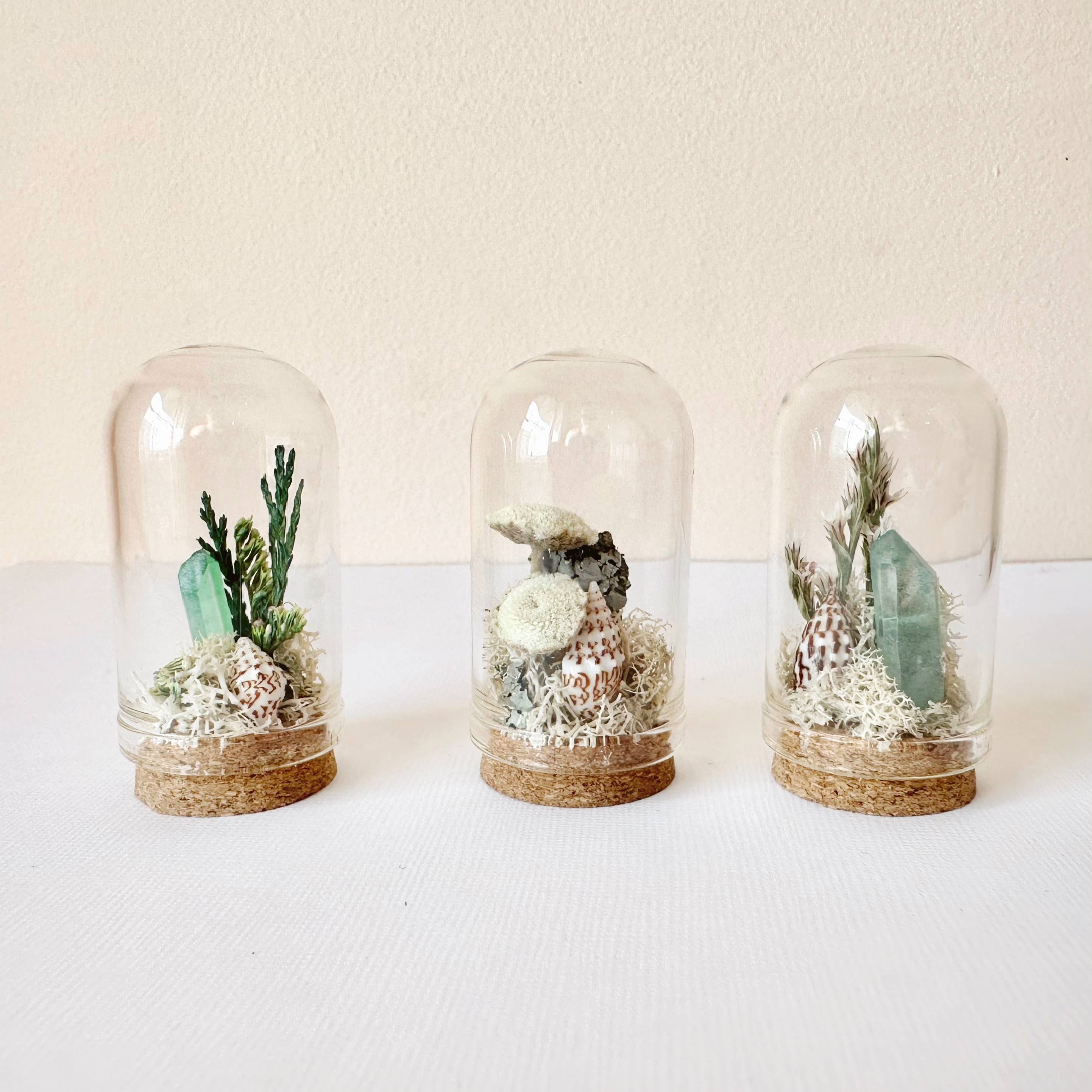 CA Studios - Wholesale Terrarium - Beach Mix Mini Terrarium Crystal Ocean Curiosity Jar0