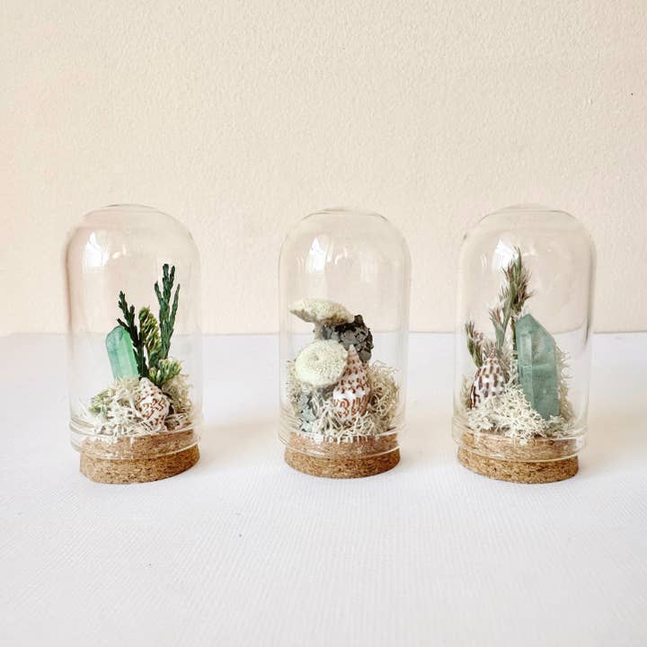 CA Studios - Wholesale Terrarium - Beach Mix Mini Terrarium Crystal Ocean Curiosity Jar