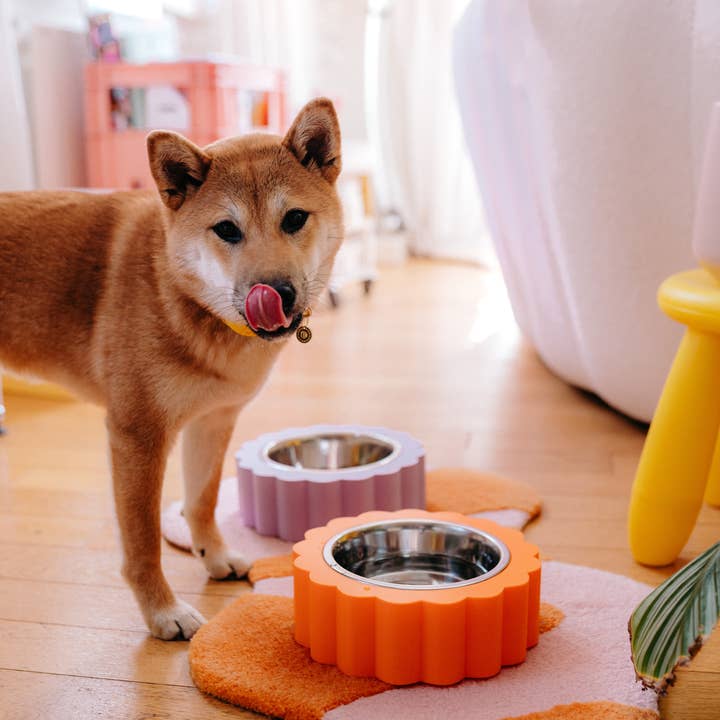 Dog bowl in the shape of a daisy and other Purchase wholesale pet bowl. Free returns & net 60 terms on Faire trending on Faire.