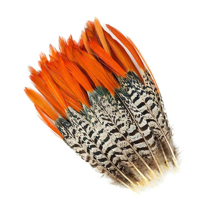 Lady Amherst Red Top Tail Feathers - Natural for wholesale by Zucker Feather Products