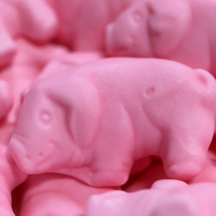 The Nut Garden, Sweetables, Utah Truffles - Wholesale Gummy - Sweetables Candy Jars | Piggity Pals1