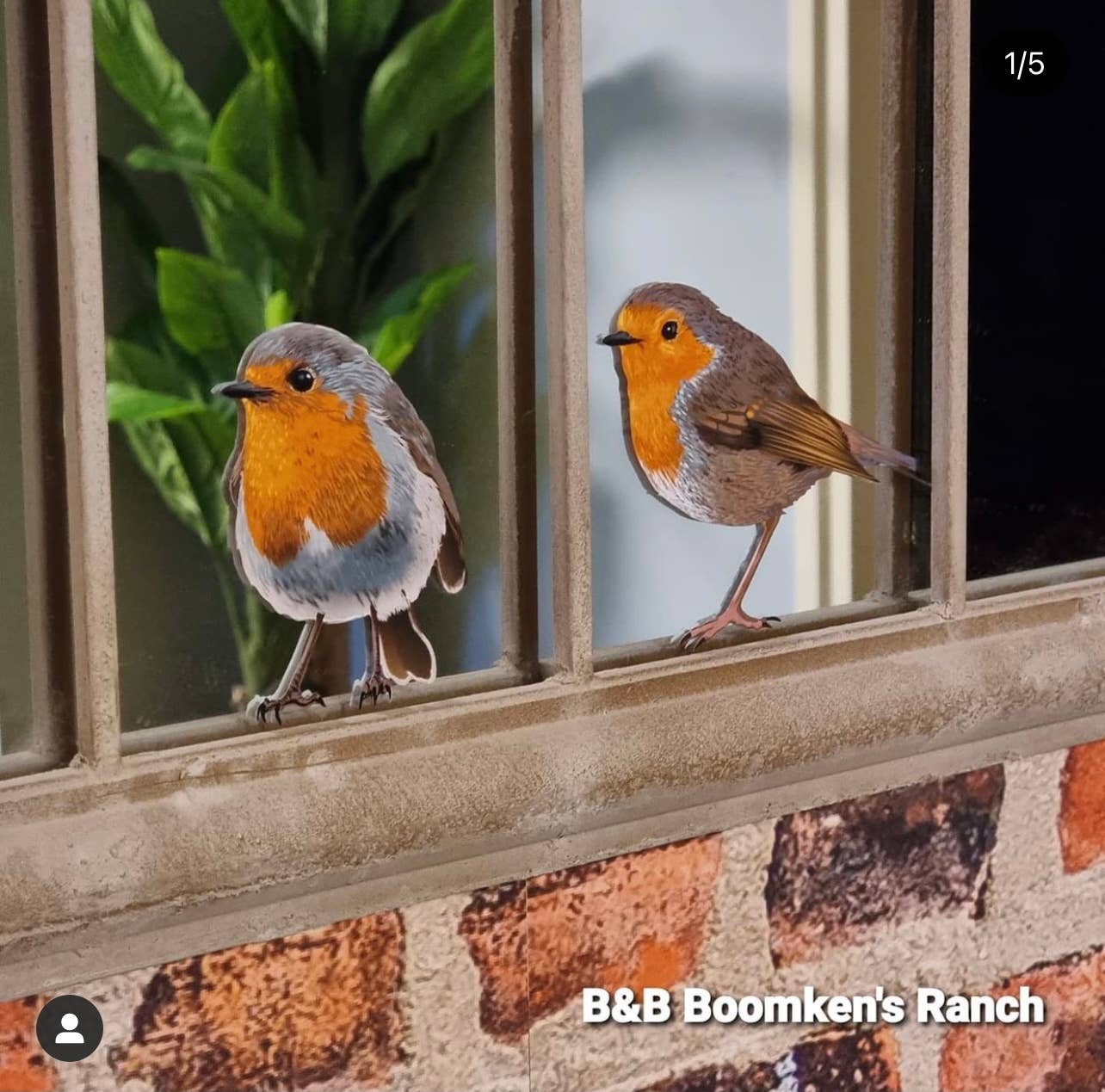 MYRTE – wholesale Fönster-/väggdekal – Väggdekor med rödhakeillustration13