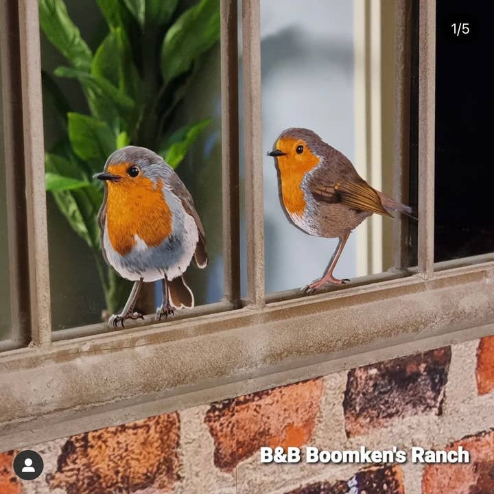 MYRTE - Vente Autocollant mural - Autocollant mural Illustration Robin13