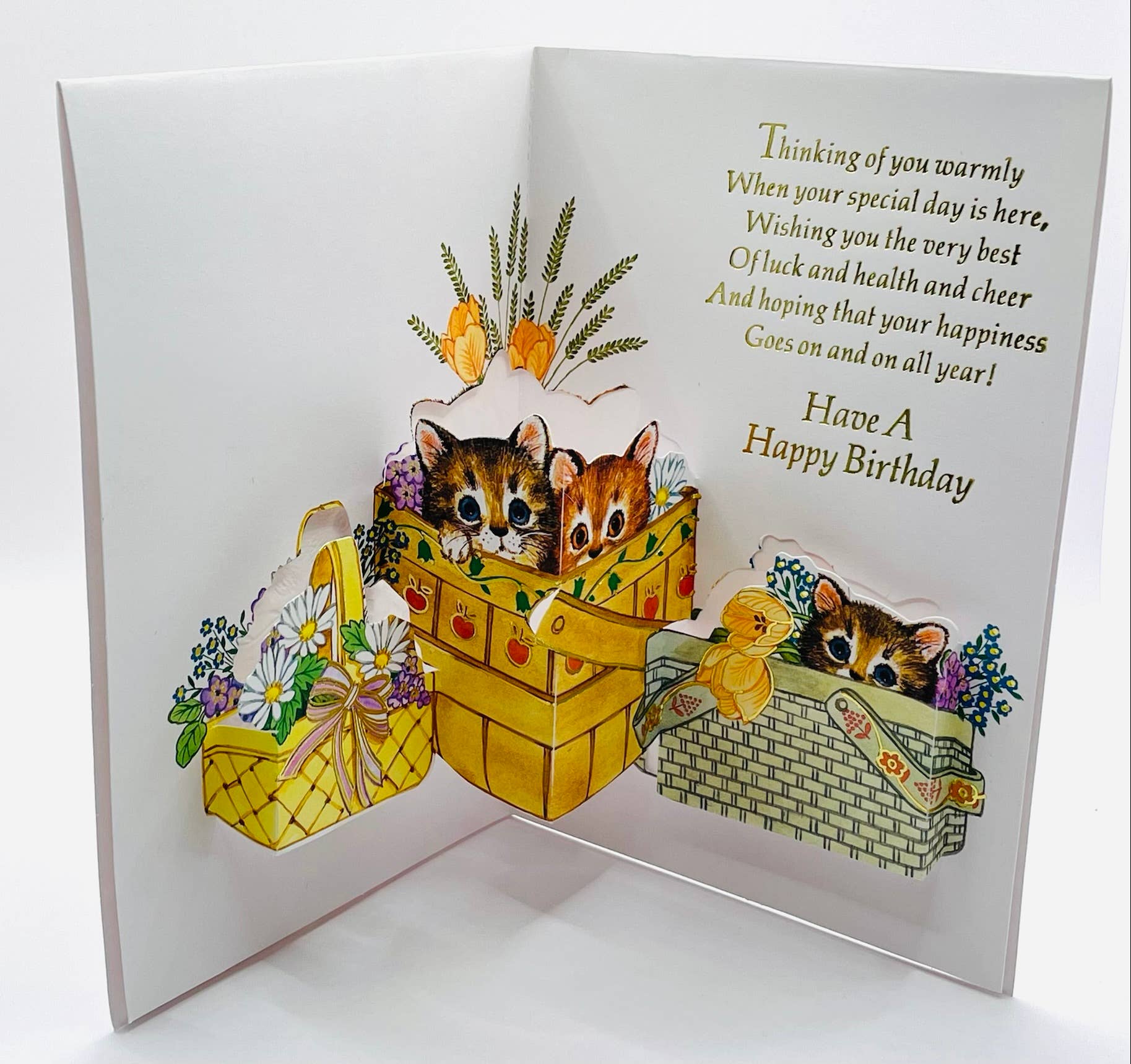 DICKENS INC. - Vente Cartes d'anniversaire - Carte éphémère d'anniversaire | DKN | SM | PB18C2